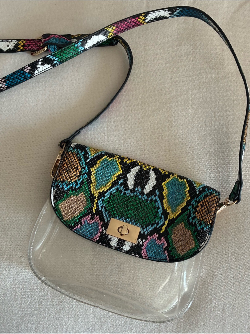 Multicolor Snake-Print Clear Crossbody Bag